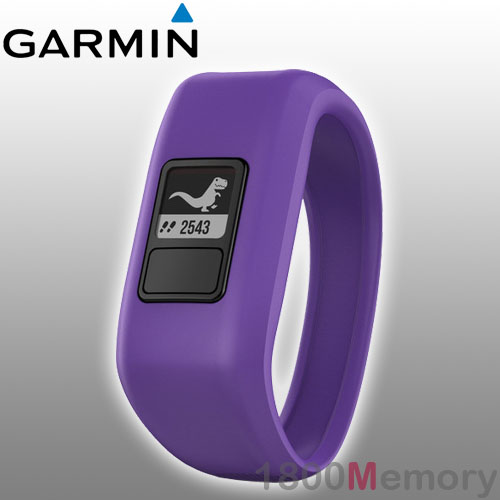 vivofit wristband